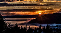 09-03 Fog Veil--18-