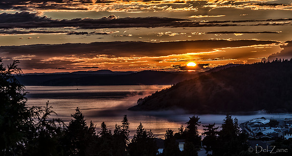 09-03 Fog Veil--18-