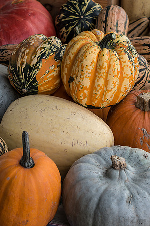 10-05 Farmers' Market--64