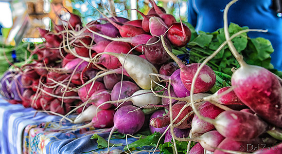 07-21 Farmers' Market-22