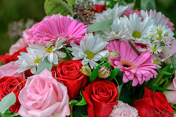 10-30 B'Day Bouquet TIFFs--8