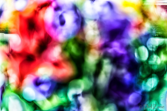 06-19 Flowers-