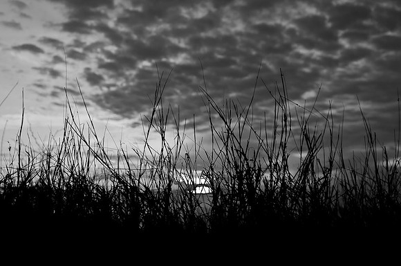 _DSC5523