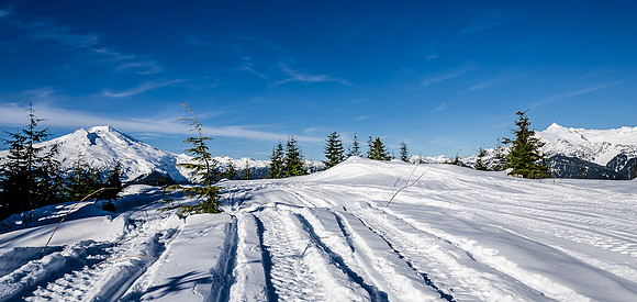 Mt. Baker...Revisted-22