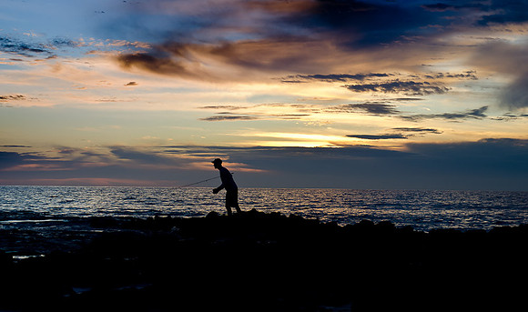 _DSC5531