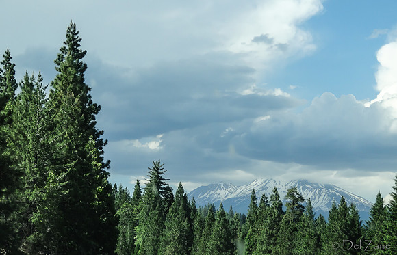 SDZ Trip Pix--47