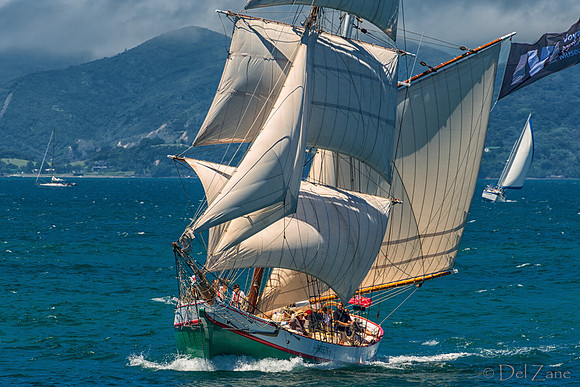 Bay of Islands NZ--25