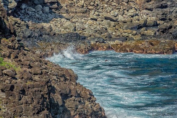 01-14 Northshore Coastline TIFFs--5