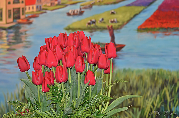 04-02 Tulip Town Redux TIFFs-2-16
