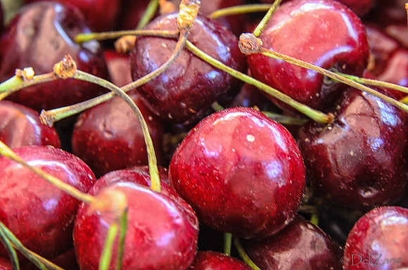 07-21 Farmers' Market-47