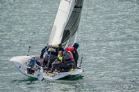 04-06 Tulip Regatta Press Release Photos-8