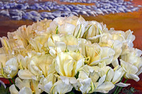 04-02 Tulip Town Redux TIFFs-2-6
