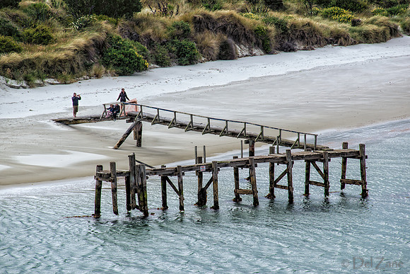 Dunedin Farewell--20