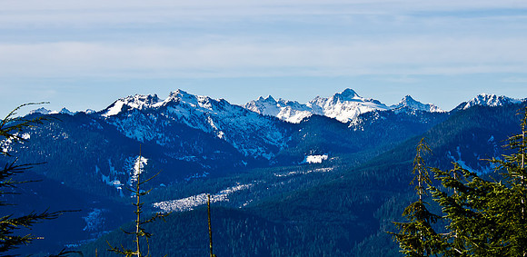 _DSC4945