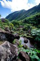 Iao Valley State Park-22