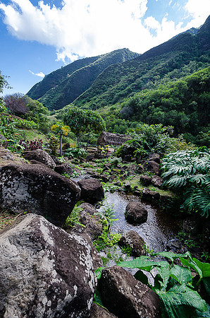 Iao Valley State Park-22