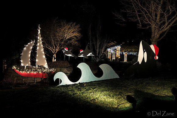 11-27-13  Marine Heights Nighttime Xmas Display JPEGs--10