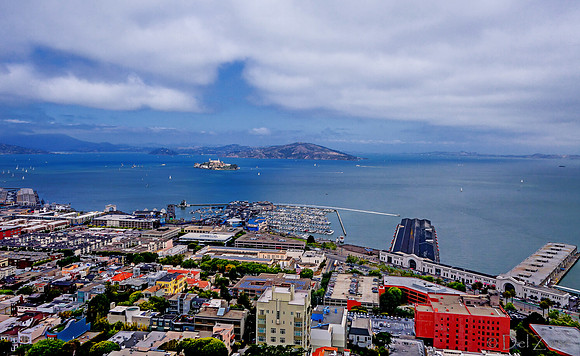 05-16 SF Day TIFFS--8