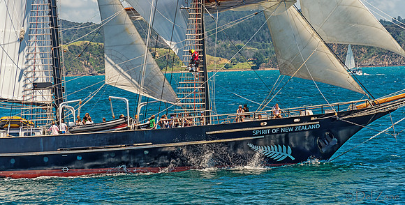 Bay of Islands NZ--23