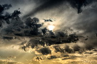 Bronze Sunset--6