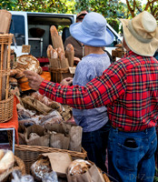06-21 Farmers Market Tiffs--2