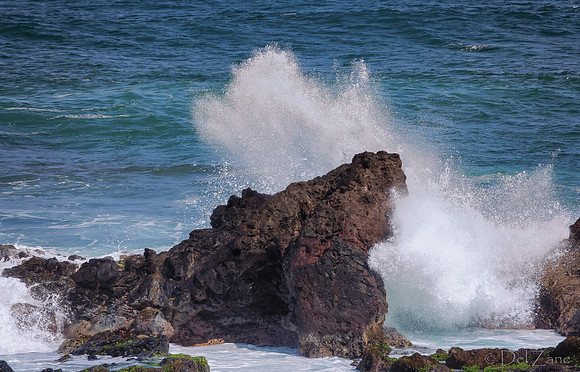 01-11 Ho'okippa Surfers TIFFs--24
