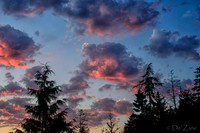 07-08 Peach Sunset-12