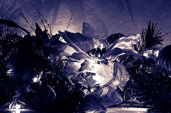 _DSC4649