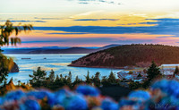 06-24 Hydrangea Sunset Bokeh TIFFs--12