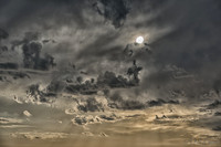Bronze Sunset--2