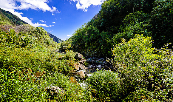 Iao Valley State Park-15