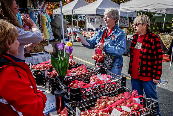 10-05 Farmers' Market--44