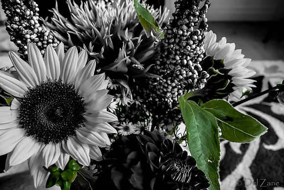 09-19 Colorized Bouquet Bokeh-0306