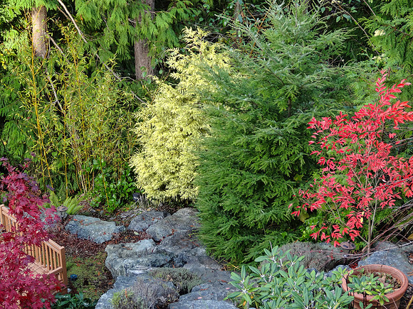 04-01 SDZ Garden Yard JPEGs-01641