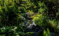 A Stroll through the Garden