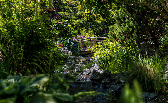 Stroll-