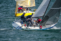 04-06 Tulip Regatta Press Release Photos-5