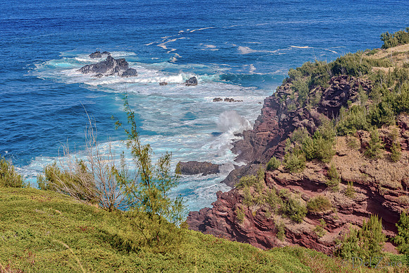 01-16 Maui Northshore TIFFs--8