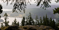 _DSC4290