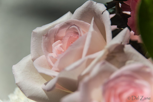 05-03 Macro All 28-300mm D600 Bouquet-2