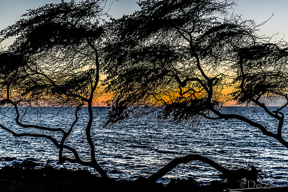 01-31 Kam III Sunset TIFFS--31