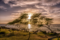 01-22 Lava Field Golden Sunset TIFFs-2