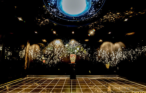 Inside Solstice--1