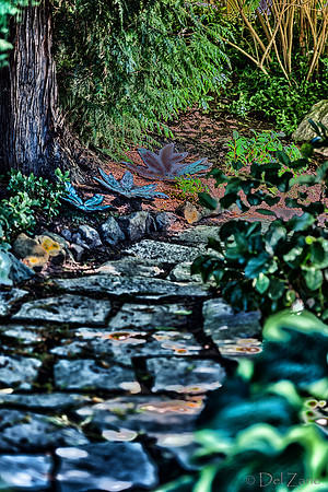 09-12 Shadra's Fall Garden Stroll--16