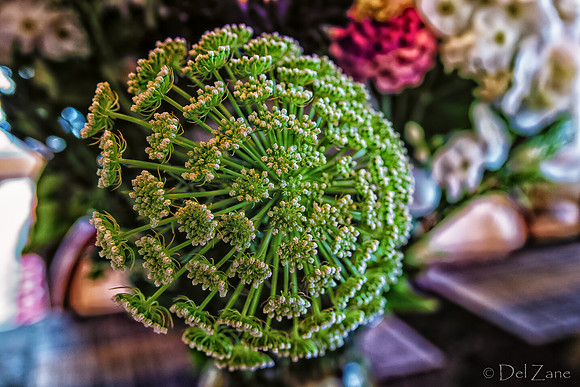 08-01 Bouquet TIFFs-