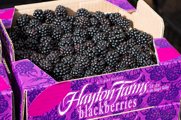 10-05 Farmers' Market--100