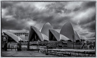Sydney Walkabout--16