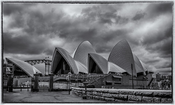 Sydney Walkabout--16
