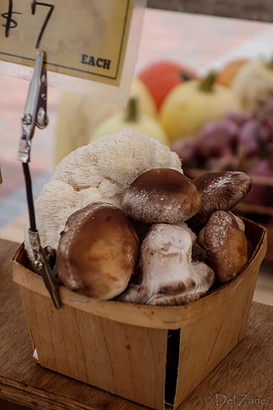 10-05 Farmers' Market--95