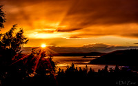 03-22 Golden Sunset Tiffs--4